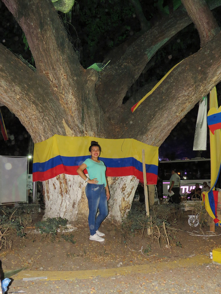 img 0028 28455080963 l.jpg