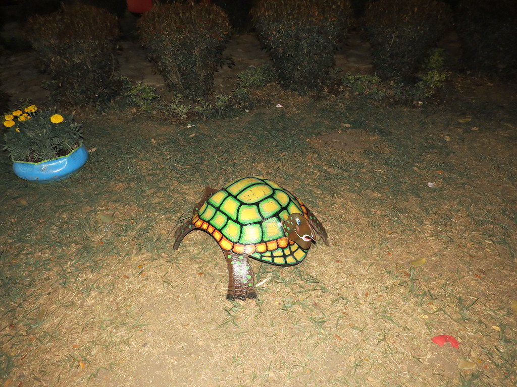 img 0127 29072693775 l.jpg