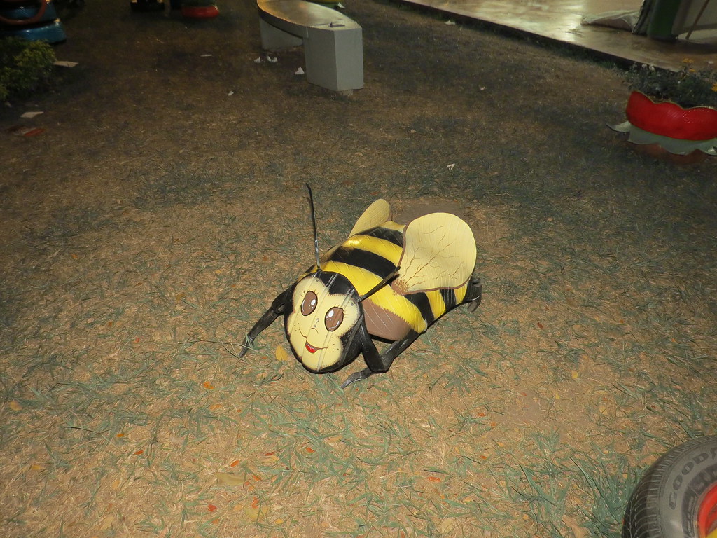 img 0128 28996256751 l.jpg