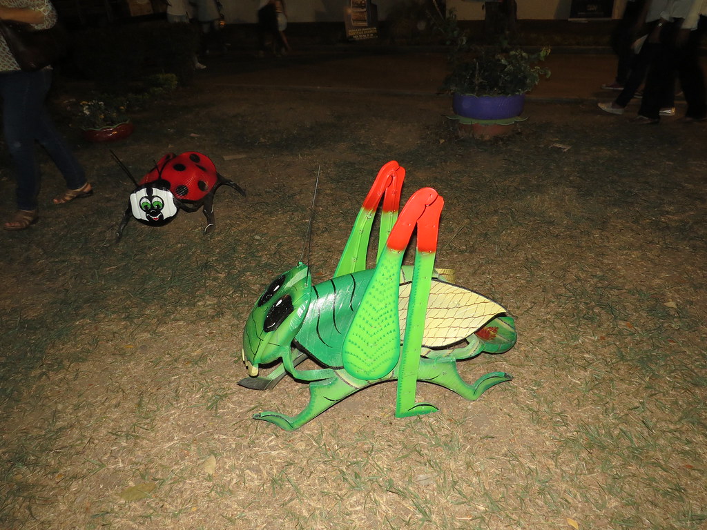 img 0130 28996253871 l.jpg