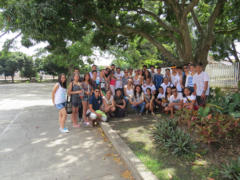 img 0152 29072685895 l.jpg