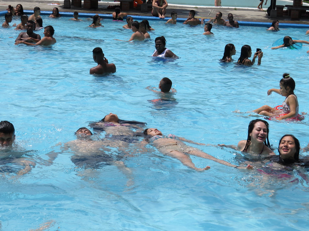 img 0237 29039662326 l.jpg