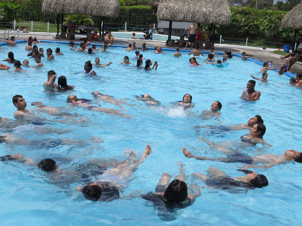 img 0239 29039658896 l.jpg