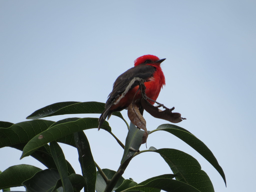 img 0249 28451640604 l.jpg