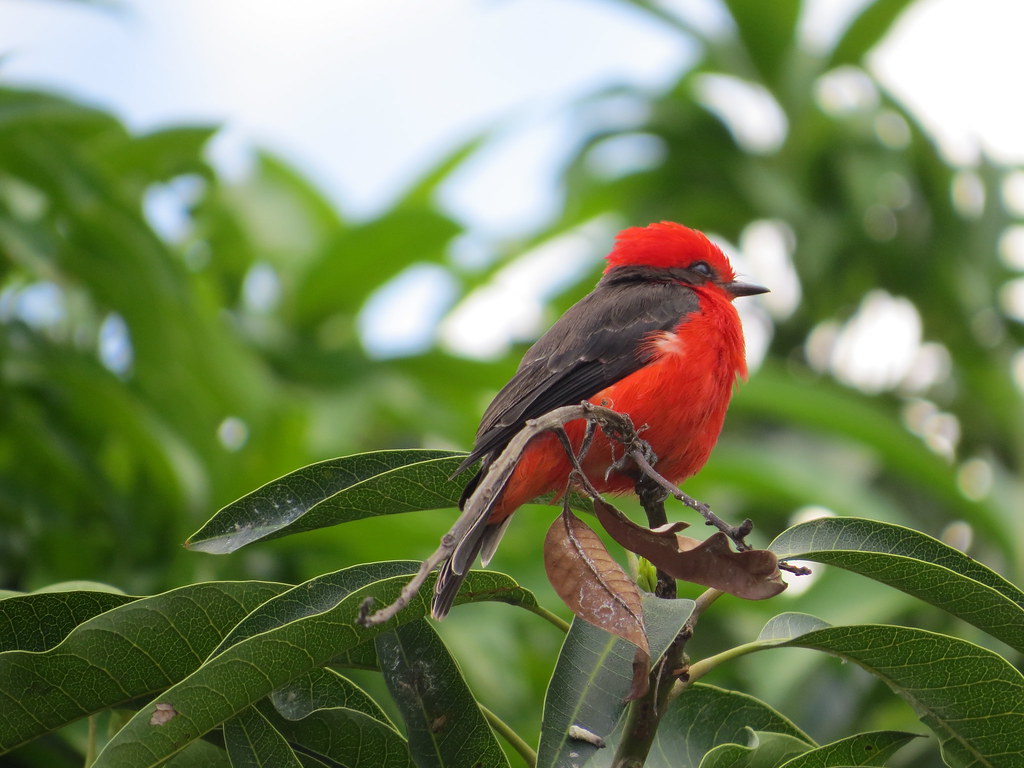 img 0251 28451638524 l.jpg