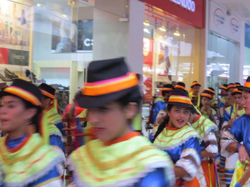 img 0287 29072498315 l.jpg