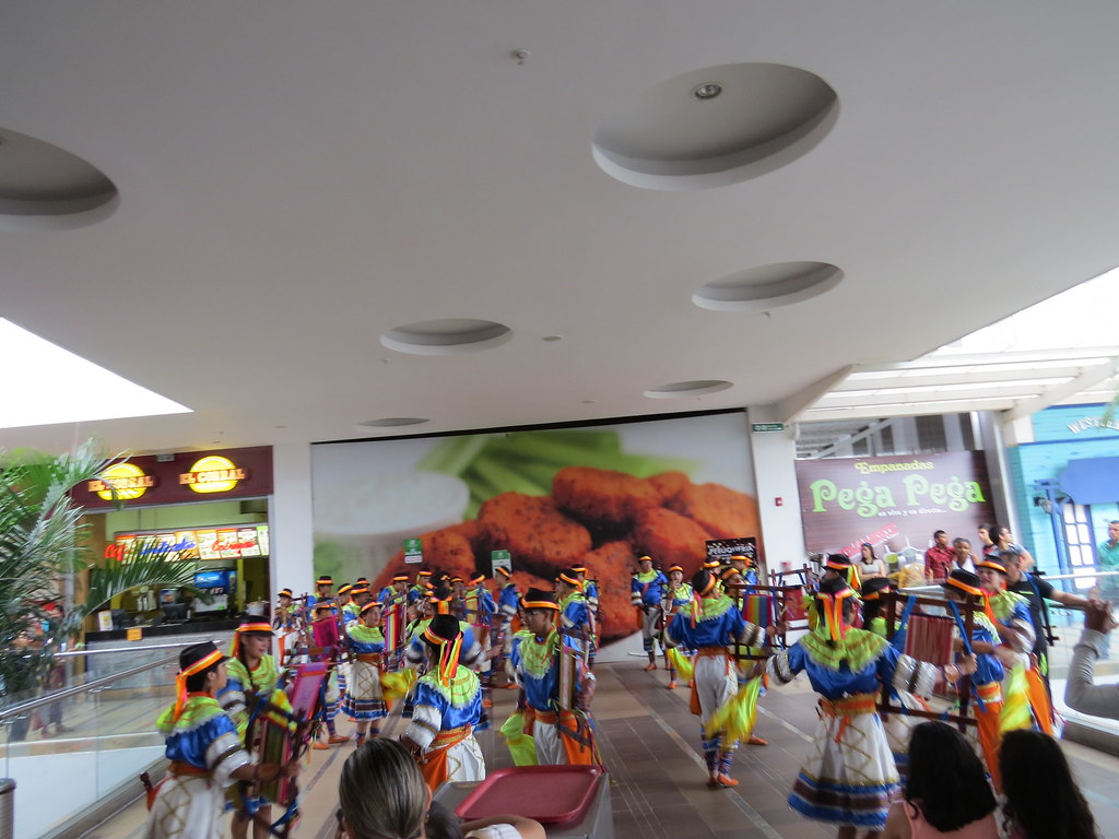 img 0377 29072338505 l.jpg